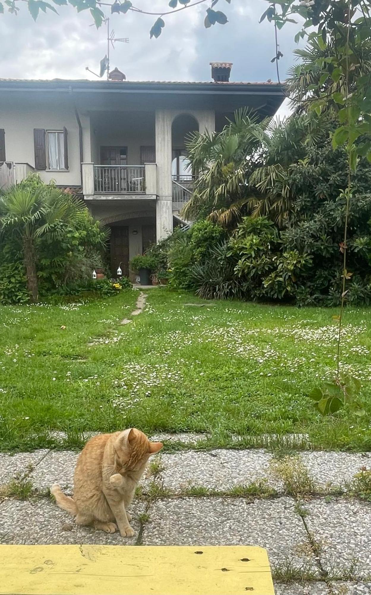 Il Giardino Di Emilia - Intero Appartamento In Villa Con Giardino Privato E Piscina Estiva Pontirolo Nuovo Exterior photo